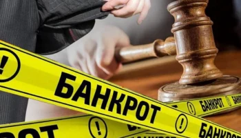 Механизм восстановления платежеспособности и банкротства физических лиц