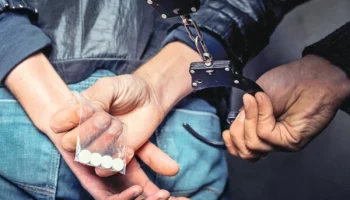 Почти 49 тонн наркотиков изъято в 2025 году: результаты борьбы с наркобизнесом