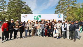 Open Air Senbilik: вывезено 77 тонн мусора