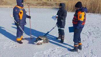 Осторожно, лед!