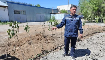 На пути обновления
