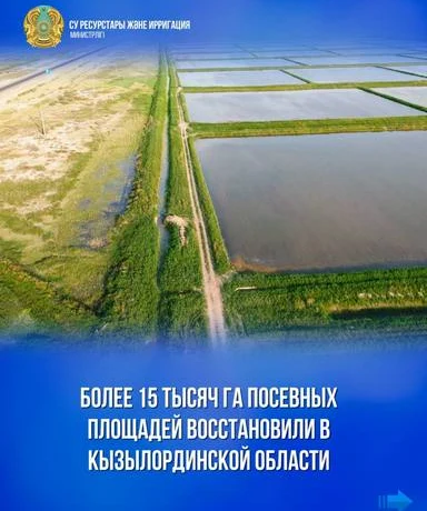 Более 15 тысяч га посевных площадей восстановили в Кызылординской области